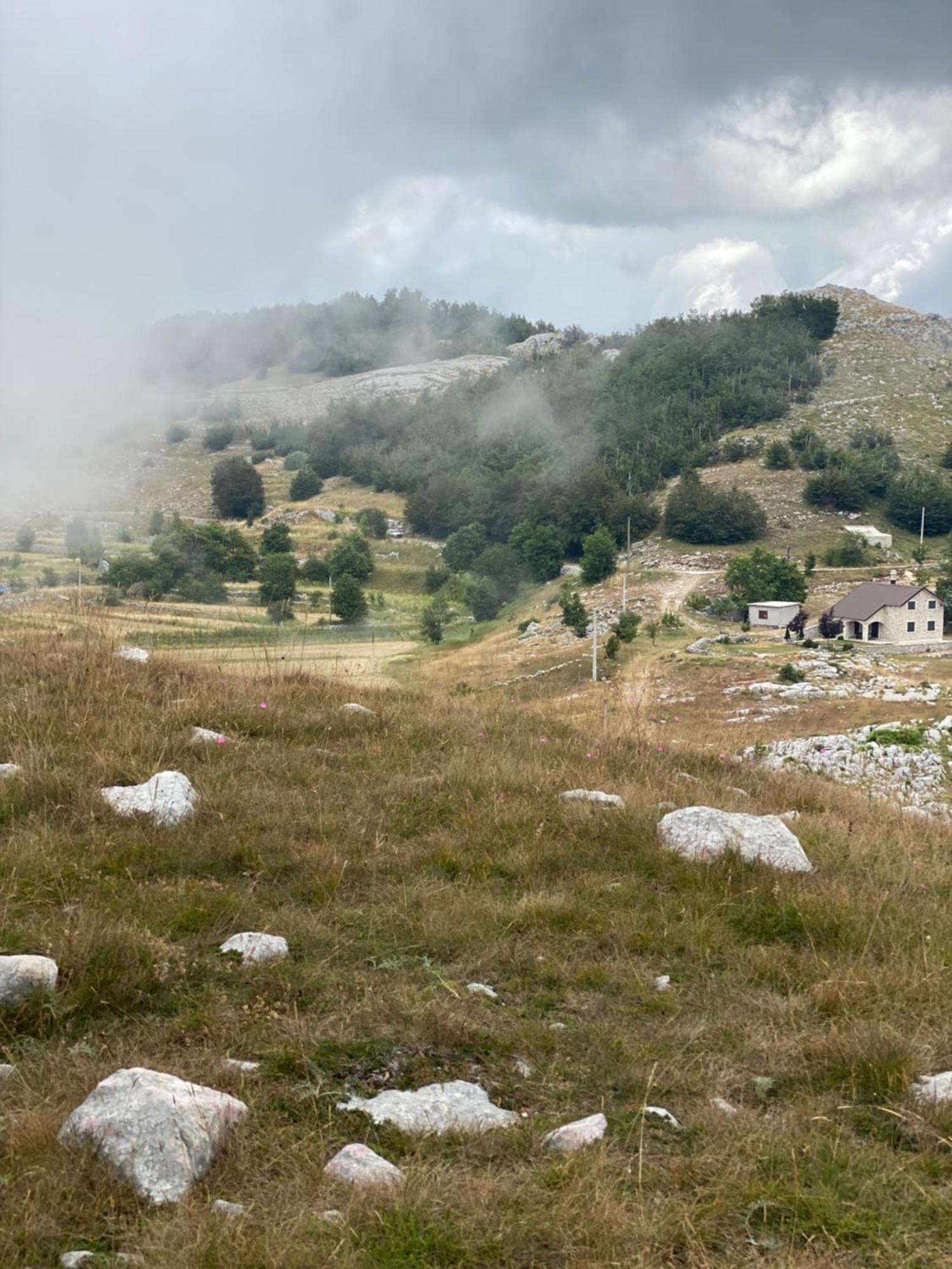 Villa Albero Casa Cetinje Esterno foto