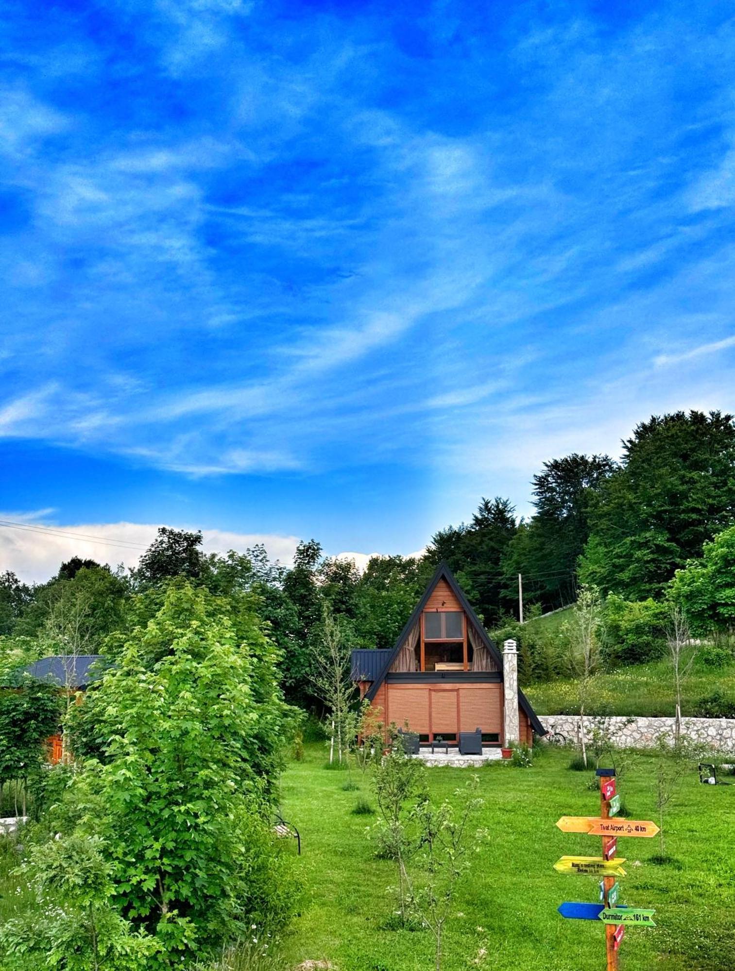 Villa Albero Casa Cetinje Esterno foto