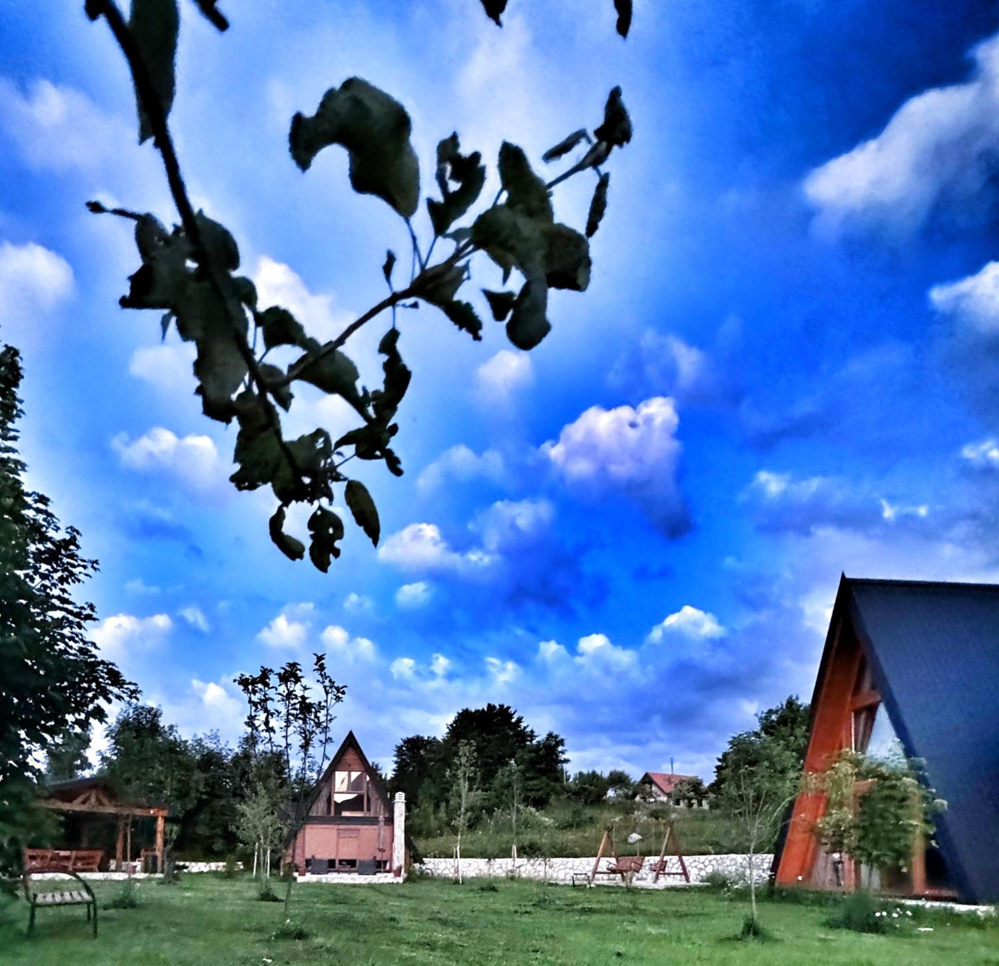 Villa Albero Casa Cetinje Esterno foto